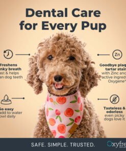 Oxyfresh Premium Dog Dental Water Additive, Best Way to Eliminate Bad Breath for Dogs, Teeth Cleaning Made Easy, 24 Ounce - High Quality Product Image