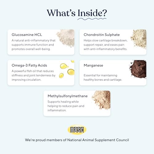 Pawfy Hip & Joint Supplement for Dogs with MSM & Vitamins | Glucosamine Chondroitin for Small, Medium & Large Breed - Supports Mobility & Bones | G... - Image 4