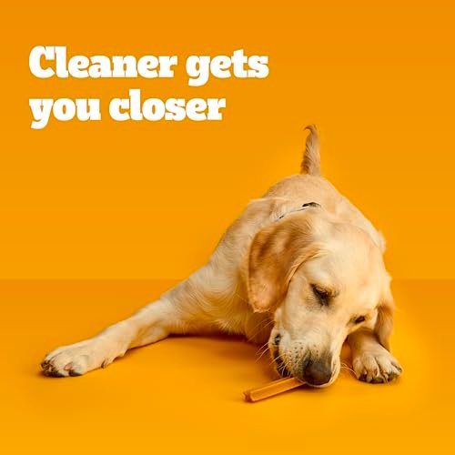 Pedigree Dentastix Large Dog Treats, Original, Beef & Fresh, 2.73 lb. Variety Pack (51 Treats Total) - Image 7