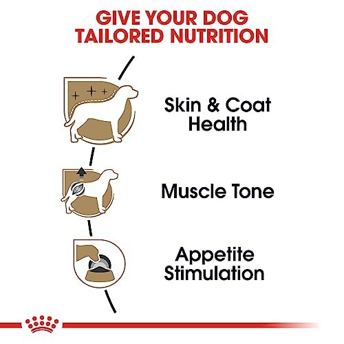 Royal Canin Breed Health Nutrition Poodle Adult Loaf in Sauce Dog Food, 3 oz - Image 4