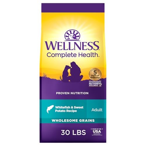 Wellness Complete Health Dry Dog Food, Wholesome Grains, Natural, Whitefish & Sweet Potato Recipe, (30-Pound Bag) - Image 2