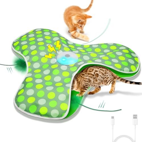 Interactive Rechargeable Cat Toy with Concealed Feathers & Squeaky Mouse for Indoor Exercise and Fun - Image 2