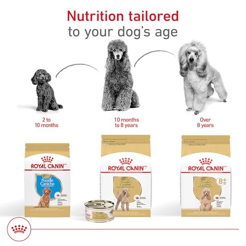 Royal Canin Breed Health Nutrition Poodle Adult Loaf in Sauce Dog Food, 3 oz - Image 6