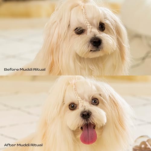 Dog Concentrated Waterless Rinse-Free Shampoo & Conditioner with Bath Mitt – Sensitive Skin, Stress & Itch Relief Gentle Leave-in Serum – 98.65% Na... - Image 6