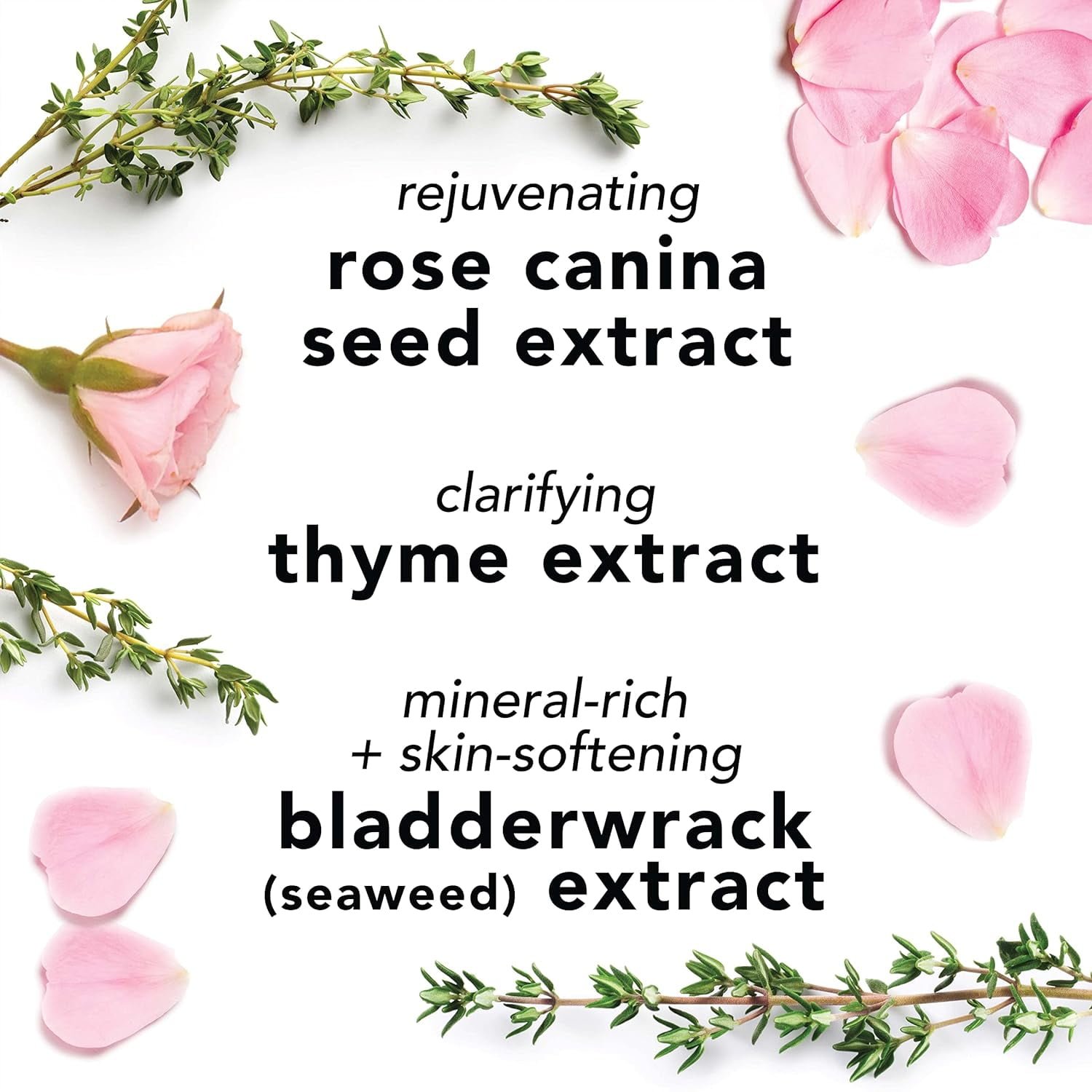 Mario Badescu Facial Spray Skin Care Toner with Rosewater and Aloe Vera, 2 oz - Image 3