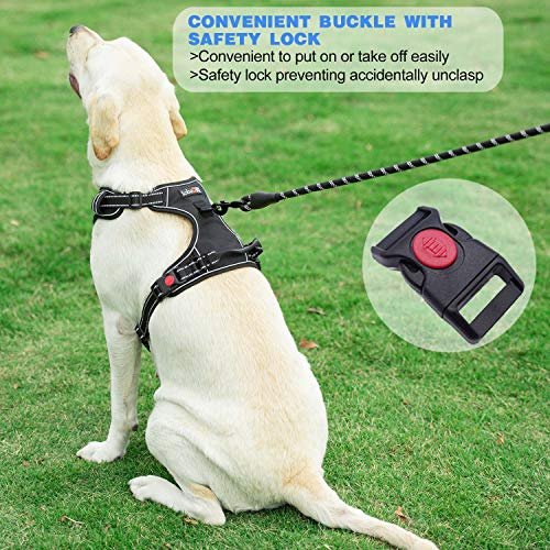 Adjustable Reflective Oxford No Pull Dog Harness with Free Heavy Duty Leash (Medium & Large) - Image 5