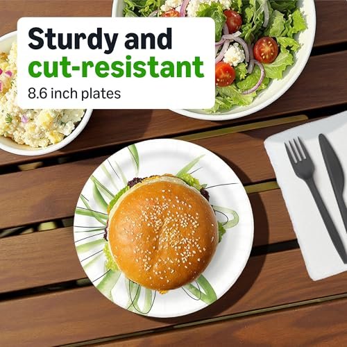 Amazon Basics Everyday Paper Plates, 8.62 Inch, Disposable, 100 Count, Packaging May Vary - Image 4