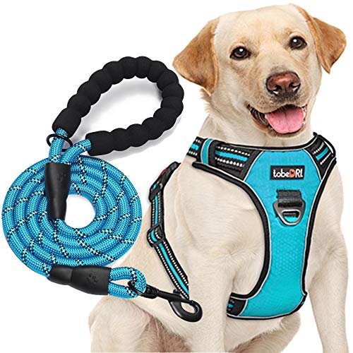Adjustable Reflective Oxford No Pull Dog Harness with Free Heavy Duty Leash (Medium & Large) - Image 2