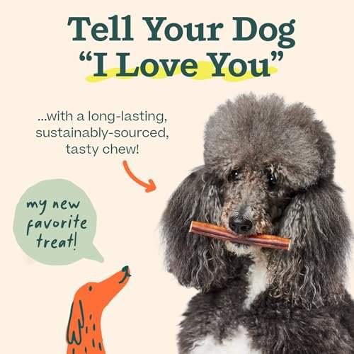 WOOF Bully Sticks Dog Treats - Chew Sticks for Dogs - Long-Lasting Dog Chew Treats - Made with Free-Range, Grass-Fed Beef - 6" Sticks - 10pk - Image 7