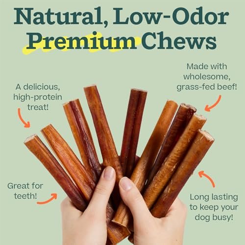 WOOF Bully Sticks Dog Treats - Chew Sticks for Dogs - Long-Lasting Dog Chew Treats - Made with Free-Range, Grass-Fed Beef - 6" Sticks - 10pk - Image 6