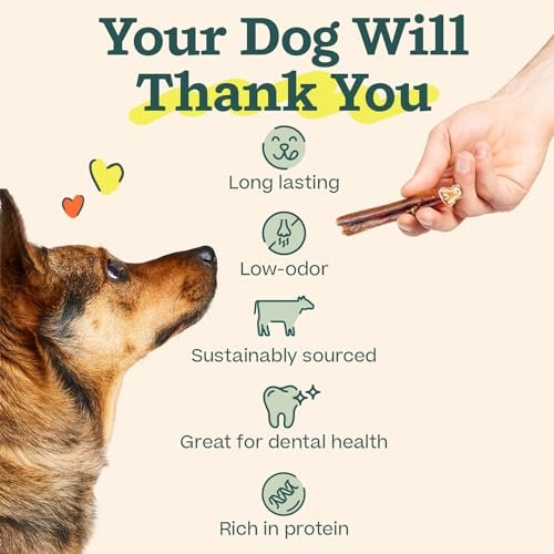 WOOF Bully Sticks Dog Treats - Chew Sticks for Dogs - Long-Lasting Dog Chew Treats - Made with Free-Range, Grass-Fed Beef - 6" Sticks - 10pk - Image 5
