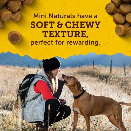 Zuke`s Mini Naturals Dog Treat Peanut Butter 1lb - Image 5