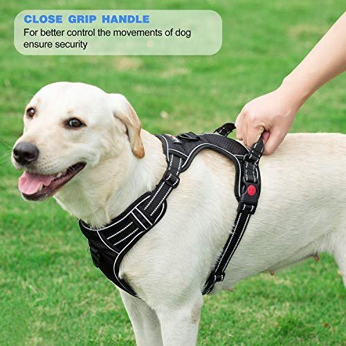 Adjustable Reflective Oxford No Pull Dog Harness with Free Heavy Duty Leash (Medium & Large) - Image 6