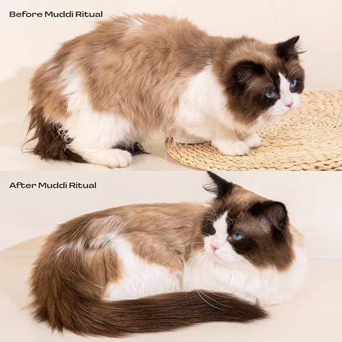 Cat Concentrated Waterless Rinse-Free Shampoo & Conditioner with Bath Mitt – Sensitive Skin, Stress & Itch Relief Gentle Leave-in Serum – 98.65% Na... - Image 6