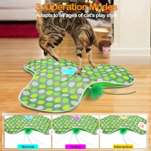 Interactive Rechargeable Cat Toy with Concealed Feathers & Squeaky Mouse for Indoor Exercise and Fun - Image 6