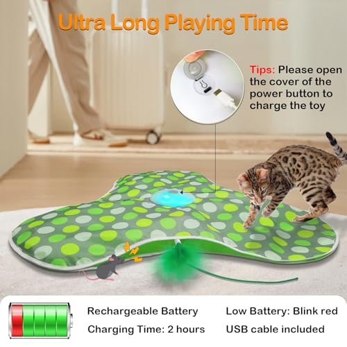Interactive Rechargeable Cat Toy with Concealed Feathers & Squeaky Mouse for Indoor Exercise and Fun - Image 7