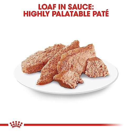 Royal Canin Breed Health Nutrition Poodle Adult Loaf in Sauce Dog Food, 3 oz - Image 3