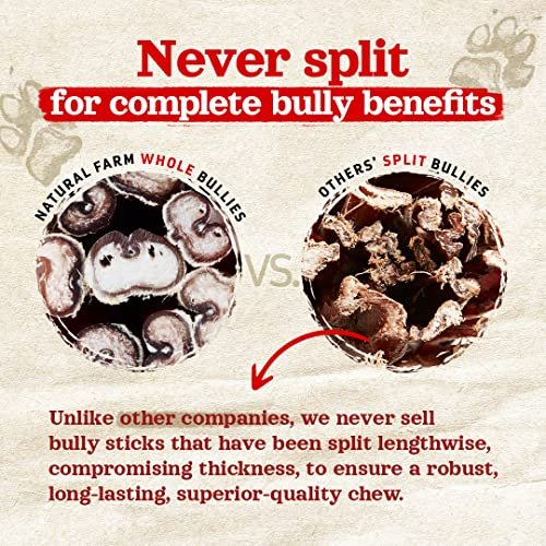 Natural Farm Extra-Thick 12-Inch Beef Bully Sticks Dog Chews - Odor-Free Dental Treats for Dogs - Image 4