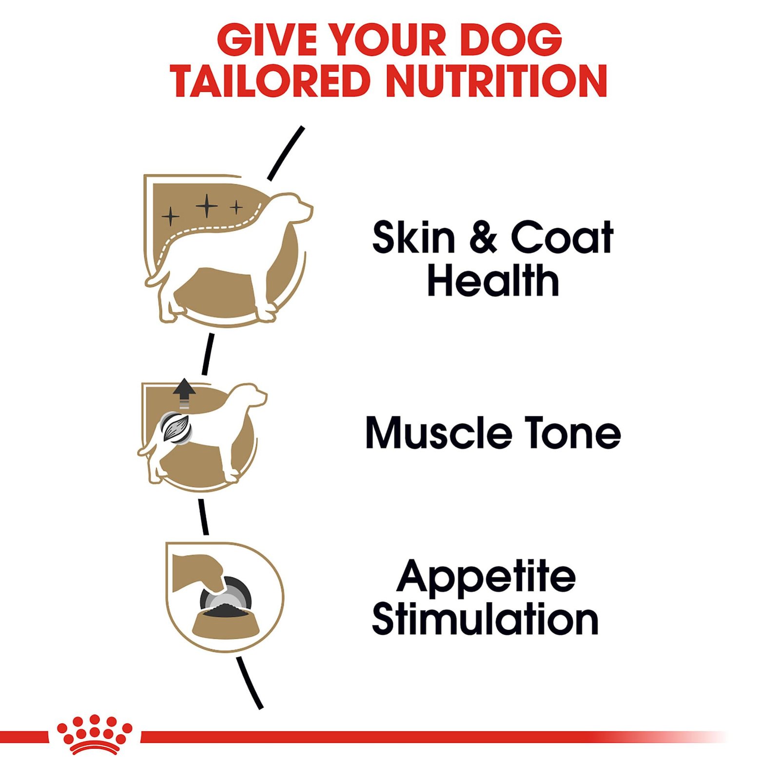 Royal Canin Breed Health Nutrition Poodle Adult Loaf in Sauce Dog Food, 3 oz - Image 9