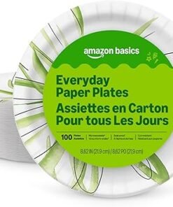 Amazon Basics Everyday Paper Plates, 8.62 Inch, Disposable, 100 Count, Packaging May Vary - High Quality Product Image