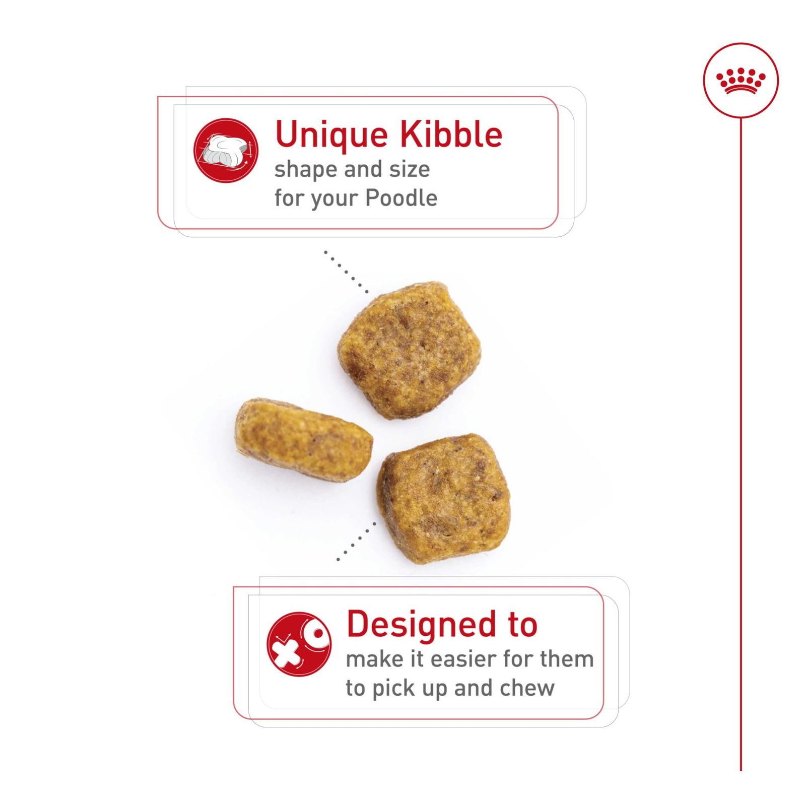 Royal Canin Breed Health Nutrition Poodle Adult Dry Dog Food, 10 lb Bag - Image 9