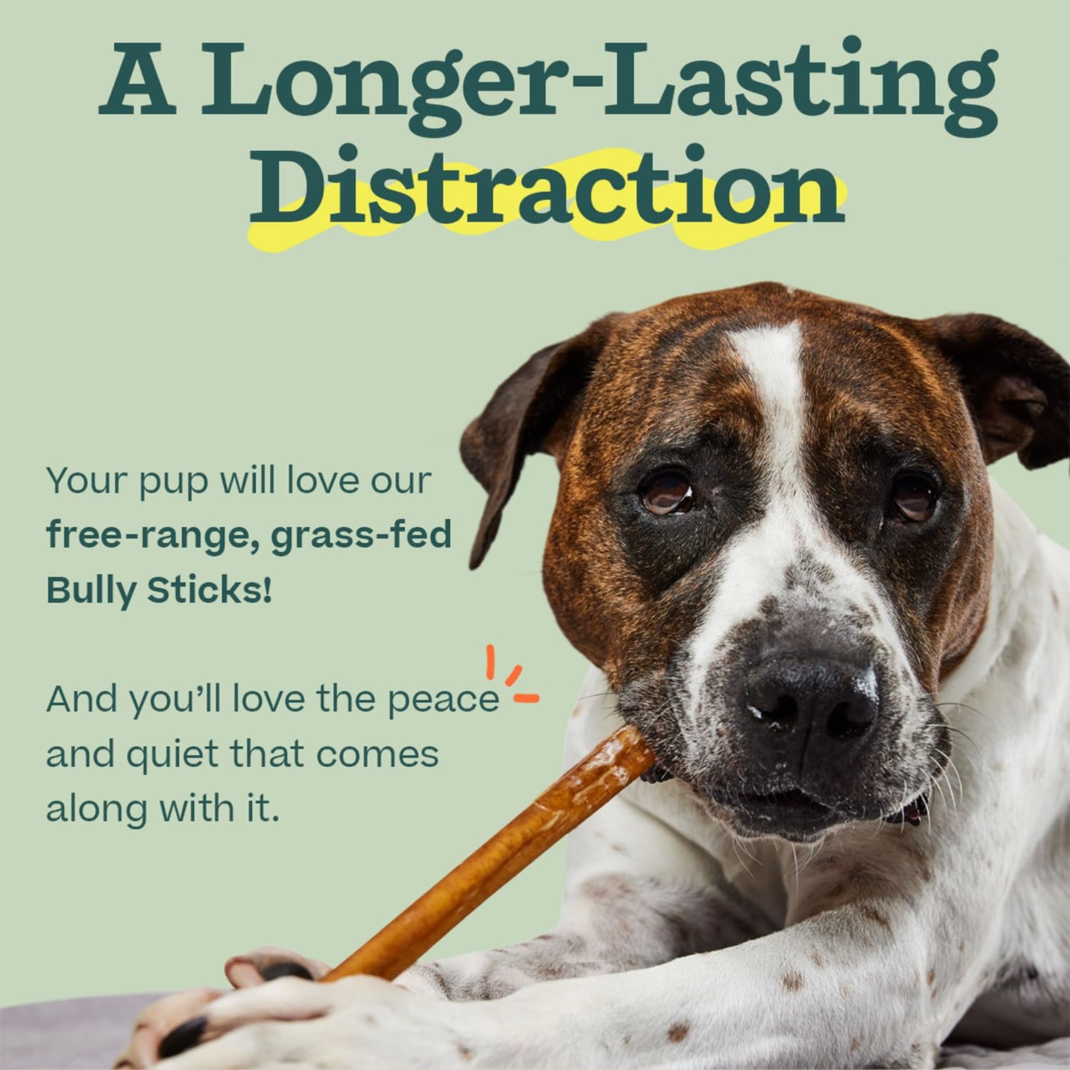 WOOF Bully Sticks Dog Treats - Chew Sticks for Dogs - Long-Lasting Dog Chew Treats - Made with Free-Range, Grass-Fed Beef - 6" Sticks - 10pk - Image 10