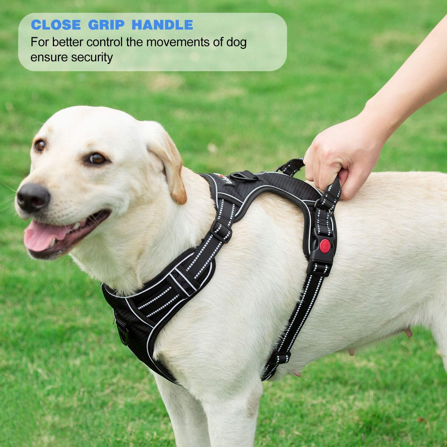 Adjustable Reflective Oxford No Pull Dog Harness with Free Heavy Duty Leash (Medium & Large) - Image 10