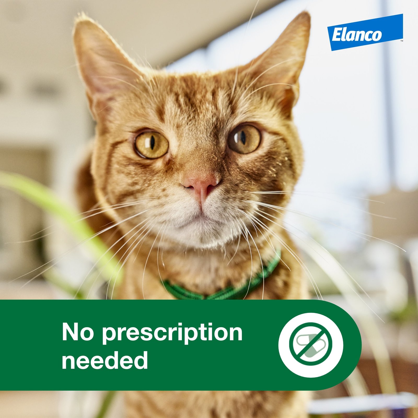 Advantage XD Large Cat 2-Month Flea Prevention For Cats over 9lbs, 1 Dose (2-Months) - Image 4