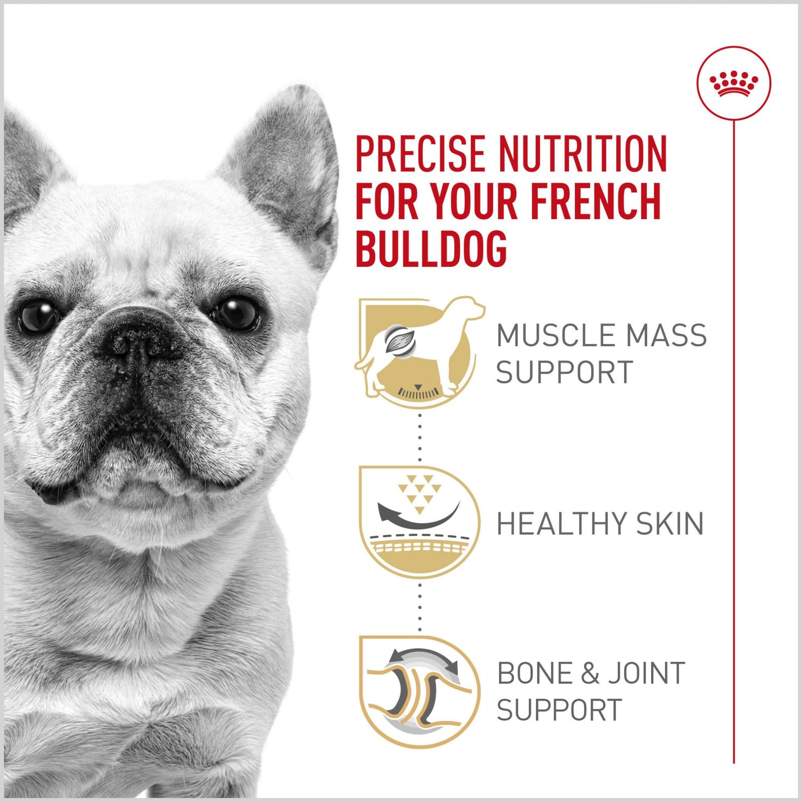 Royal Canin Breed Health Nutrition French Bulldog Adult Dry Dog Food, 17 lb Bag - Image 10