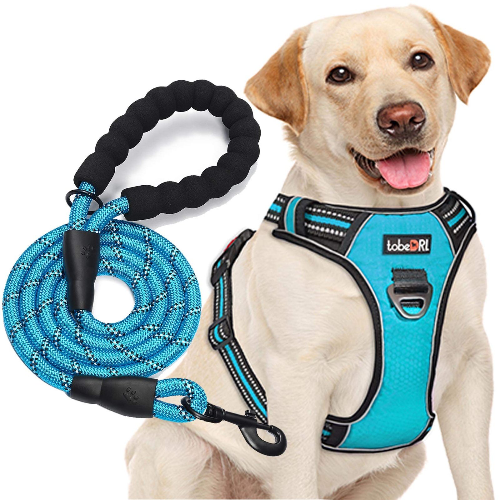 Adjustable Reflective Oxford No Pull Dog Harness with Free Heavy Duty Leash (Medium & Large)