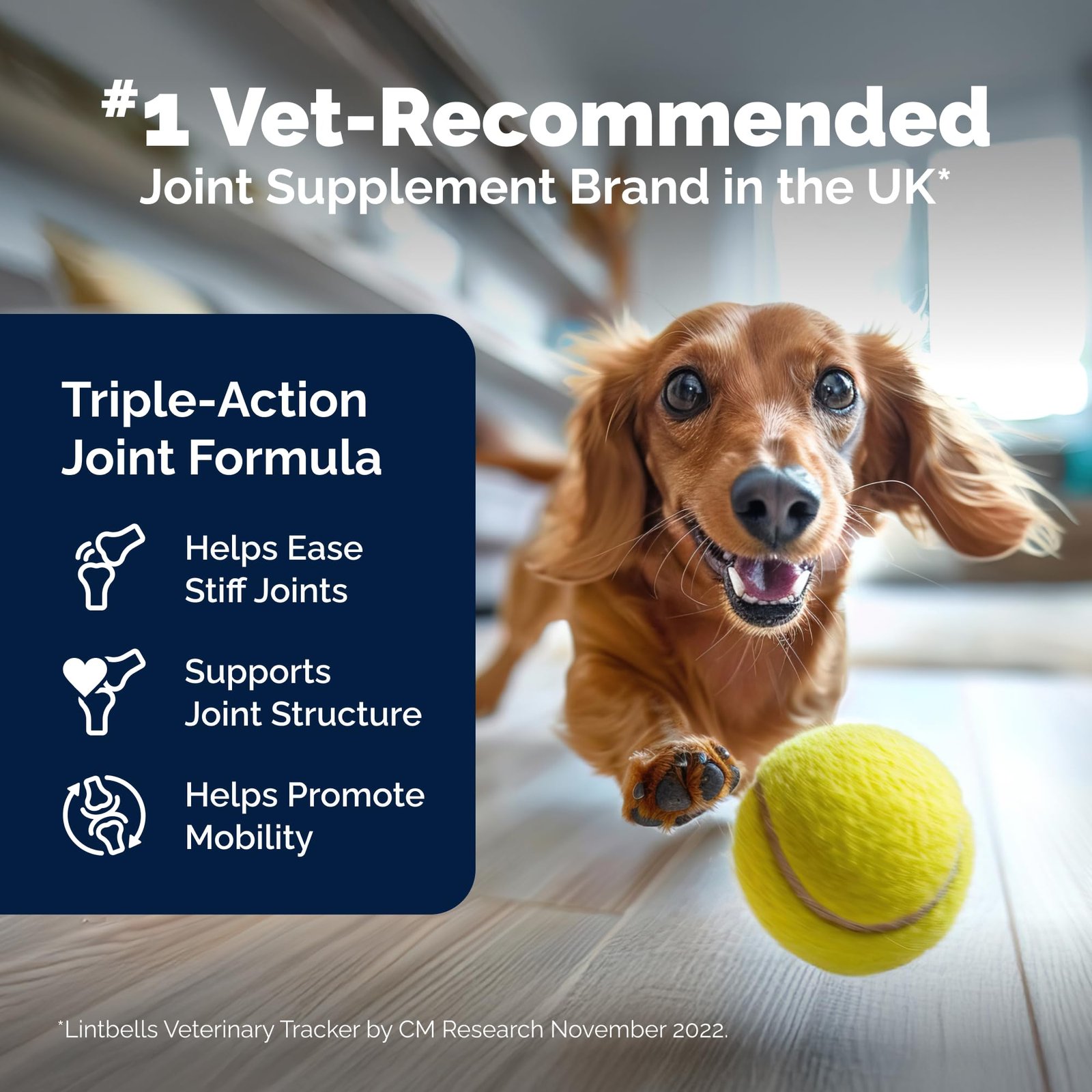Yumove Hip & Joint Relief for Dogs - Glucosamine, Hyaluronic Acid, Green Lipped Mussel & Omega 3 Joint Supplement - Image 10