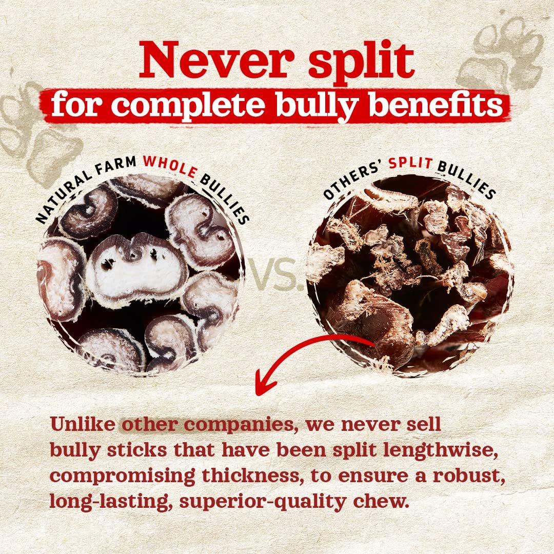 Natural Farm Extra-Thick 12-Inch Beef Bully Sticks Dog Chews - Odor-Free Dental Treats for Dogs - Image 10