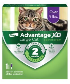 Advantage XD Large Cat 2-Month Flea Prevention For Cats over 9lbs, 1 Dose (2-Months) - High Quality Product Image