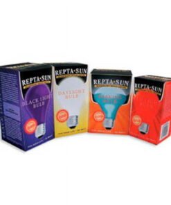 FLU BULB BASKING SPOTLIGHT 40W - High Quality Product Image