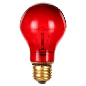Fluker's Repta-Sun Incandescent Reptile Red Heat Bulb, 60 W
