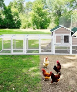 Pefilos 112 - High Quality Product Image