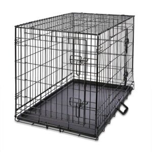 Vibrant Life Wire Dog Crate, Double-Door, Divider and Leak-Proof Tray, Metal, Foldable, Durable, Black, 36