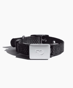 Open Box Whistle Switch Smart Collar Kit - GPS location, Health & Fitness - Waterproof GPS Pet Tracker with interchangeable batteries, Shadow (Black), XS/S - High Quality Product Image