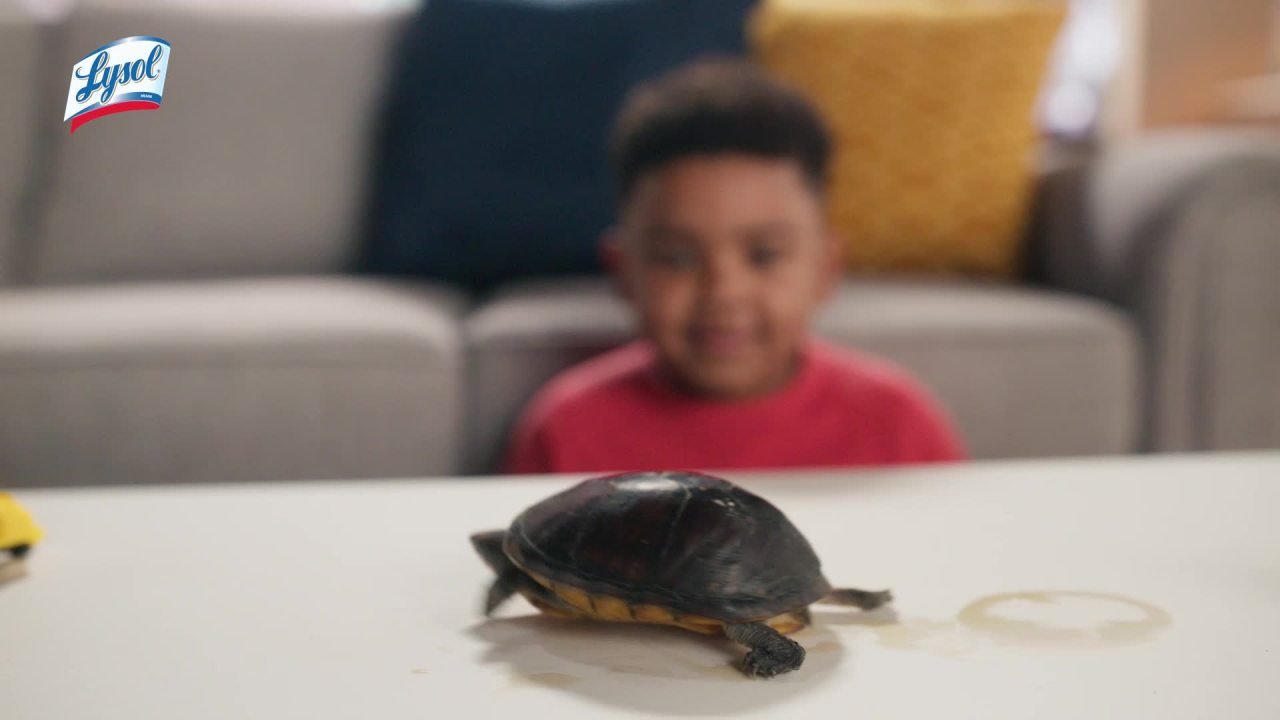 Lysol Brand New Day Shower Cleaner Foam, Mango & Hibiscus, 19 fl oz - Image 2