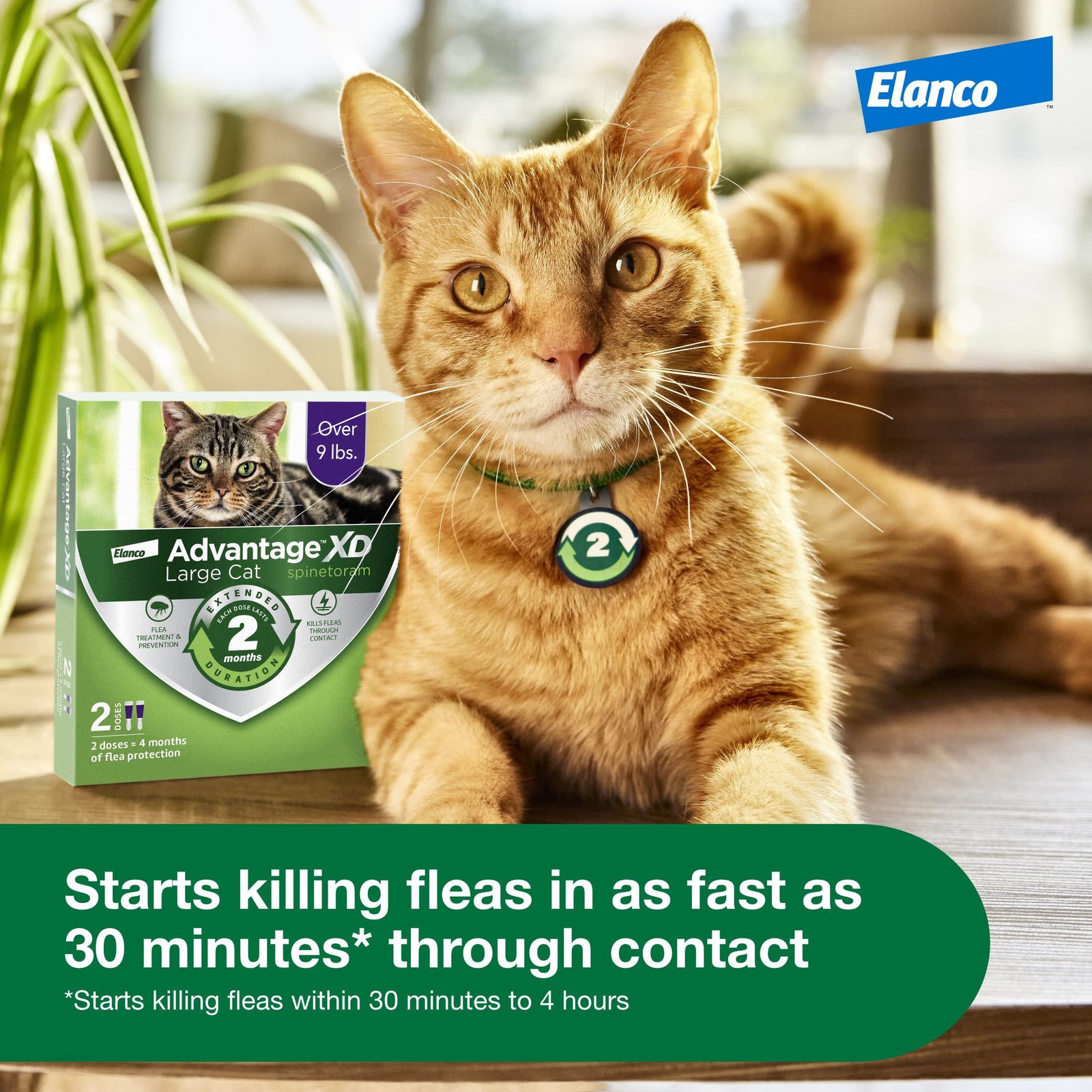 Advantage XD Large Cat 2-Month Flea Prevention For Cats over 9lbs, 1 Dose (2-Months) - Image 5