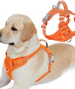 BARKBAY Dog Harness No Pull with ID Tag Pocket - Heavy Duty, Reflective, Easy Control for Large Dogs(Orange,L)