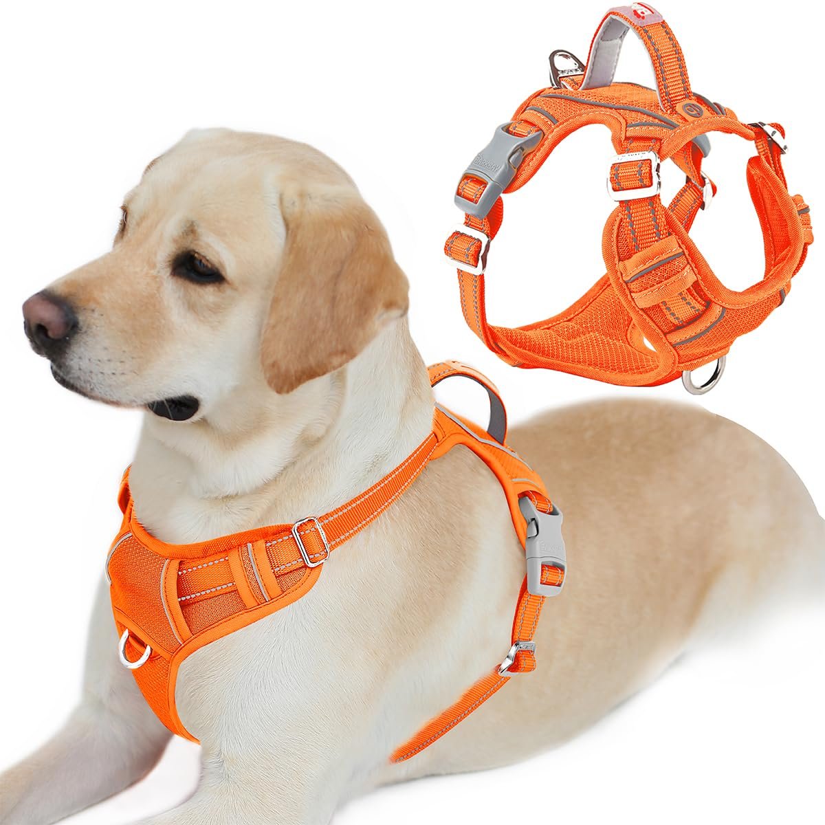 BARKBAY Dog Harness No Pull with ID Tag Pocket – Heavy Duty, Reflective, Easy Control for Large Dogs(Orange,L)