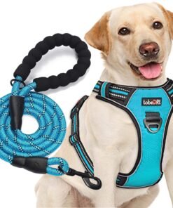 No Pull Dog Harness Adjustable Reflective Oxford Easy Control Medium Large Dog Harness with A Free Heavy Duty 5ft Dog Leash