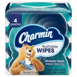 Charmin Flushable Wipes, 160 Total Wipes