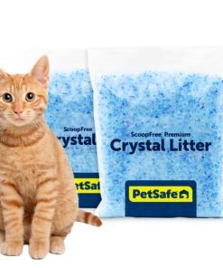 PetSafe ScoopFree Premium Crystal Cat Litter - Outperforms Clay Litter - Refill Packs - Reusable Tray Compatible - Fresh Scent - 4.3 lb Bags - 2 Pack